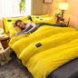 Magic Thicken Corduroy Duvet Cover Set Ultra Soft Velvet Quilt Cover Reversible