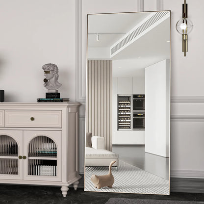 Full Length Mirror 65" * 24 ", Floor Standing Mirror, Black Metal Frame