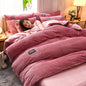 Magic Thicken Corduroy Duvet Cover Set Ultra Soft Velvet Quilt Cover Reversible