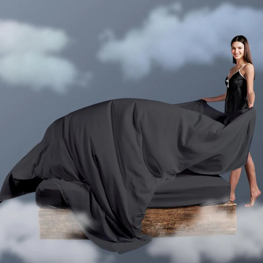 Bed Sheet Set Queen Size 4 Pieces for Modern Bedrooms Includes Flat Sheet 90x102 inch Fitted Sheet 60x80 inch Two Pillowcases 2