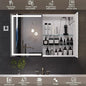 Lighted Medicine Cabinet with Mirror